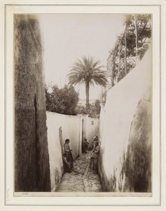  av Giorgio Sommer