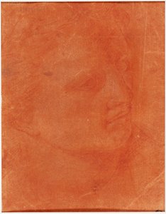 Leder i trekvartsprofil (recto); Stående ung mann som peker til venstre og skisser av føtter, arm (verso) av Giorgione