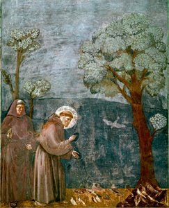 Episode av livet til Saint Francois av Assisi (San Francesco): "" Forutsigelsen av fugler""" Fresco av Giotto (Ambrogio di Bondone