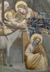 Fødselen, detalj av jomfruen og barnet, eselet og Josef, 1303-05 (etter restaurering) av Giotto di Bondone
