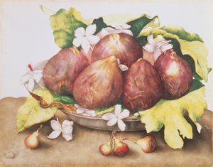 Fiken på blader av Giovanna Garzoni