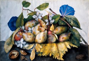 Tallerken med plommer, sjasmin og nøtter Maleri på pergament av Giovanna Garzoni (1600-1670) av Giovanna Garzoni