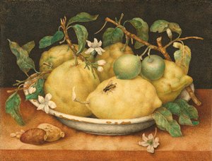 Stilleben med en skål med sitroner, ca. 1640 (tempera på vellum)