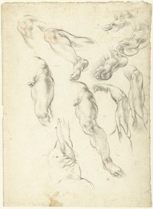 Studieark med armer og ben av Giovanni Alberti