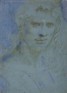 Byste av unger kronet med torner og vinranker, ca. 1495 (metallspiss på blått forberedt papir) av Giovanni Antonio Boltraffio