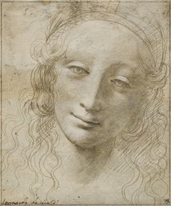 Hodet til en kvinne av Giovanni Antonio Boltraffio