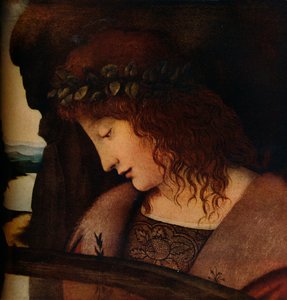 Narcissus, c1500