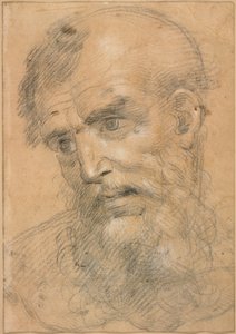  av Giovanni Antonio Sogliani