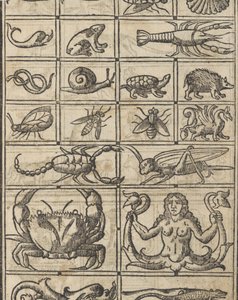 Eksempel på recammi, side 11 recto, 1530.