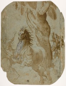 Konvertering av St. Paul (rekto); Mann sett bakfra (verso) av Giovanni Antonio da Pordenone