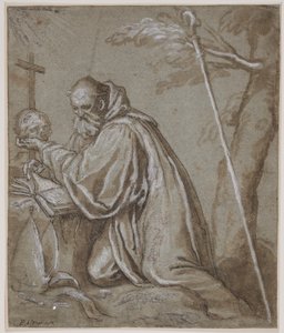 St. Bernard i bot