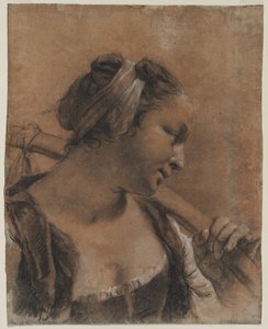 Et portrett av Rosa med en skulderpinne av Giovanni Battista Piazzetta