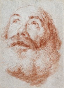 Hodet til en gammel mann som ser opp, av Giovanni Battista Tiepolo