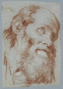 Hodet til en gammel skjeggete mann (rødt kritt, berørt med hvitt, på falmet gråblått papir) av Giovanni Battista Tiepolo