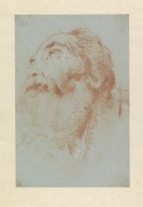 Kopf eines alten Mannes von Giovanni-Battista Tiepolo