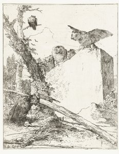 Titteltrykk for Scherzi di fantasia med ugler nær en stein Scherzi di fantasia (serietittel) av Giovanni Battista Tiepolo