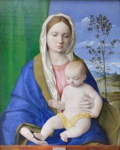  av Giovanni Bellini