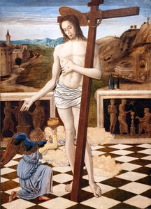  av Giovanni Bellini