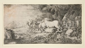 Dyr som kommer inn i Noah av Giovanni Benedetto Castiglione