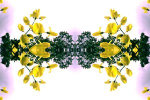 Unaturlig 151.2 (digitalt manipulert bilde) av Giovanni Cafagna