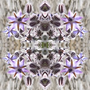 Unaturlig 159 (digitalt manipulert bilde) av Giovanni Cafagna