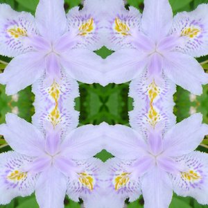 Unaturlig 174 (digitalt manipulert bilde) av Giovanni Cafagna