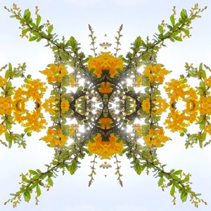 Unaturlig 175 (digitalt manipulert bilde) av Giovanni Cafagna