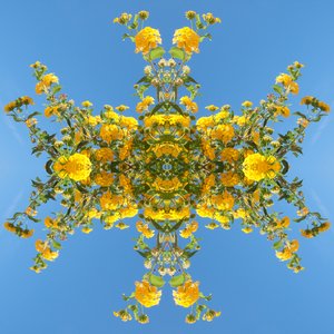 Unaturlig 193 (digitalt manipulert bilde) av Giovanni Cafagna