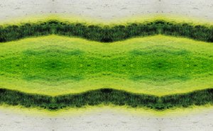 Unaturlig 2.1 (digitalt manipulert bilde) av Giovanni Cafagna