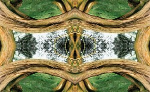 Unaturlig 37 (digitalt manipulert bilde) av Giovanni Cafagna