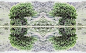 Unaturlig 40 (digitalt manipulert bilde)
