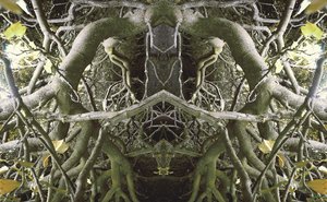 Unaturlig 41 (digitalt manipulert bilde) av Giovanni Cafagna