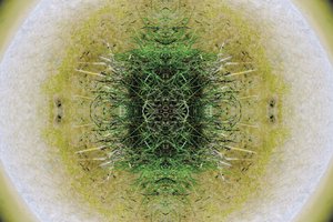 Unaturlig 6.1 (digitalt manipulert bilde) av Giovanni Cafagna