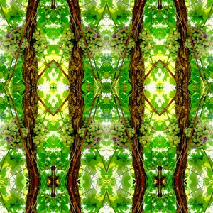 Unaturlig 74 (digitalt manipulert bilde) av Giovanni Cafagna