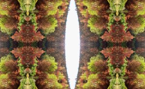 Unaturlig 81 (digitalt manipulert bilde) av Giovanni Cafagna