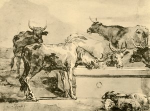 Kyr som vanner, midten av slutten av 1700-tallet, 1928 av Giovanni Domenico Tiepolo