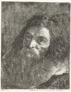 Mann med langt hår og skjegg av Giovanni Domenico Tiepolo