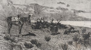 Esel og geiter på en strand om vinteren, 1884-1908. av Giovanni Fattori