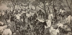 Marked i toskanske Apenninene, gravering fra et maleri av Giovanni Fattori (1825-1908), fra L