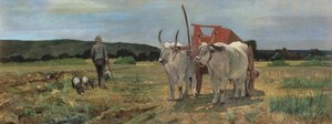 Oksevogn i den toskanske Maremma
