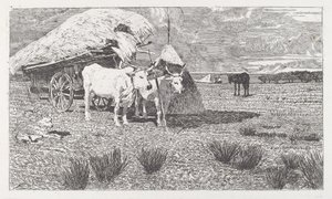 Okser spent for en kjerre (Maremma) av Giovanni Fattori