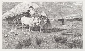 Okser i åk til vognen (Maremma) av Giovanni Fattori