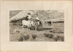Okser og vogn (Maremma) av Giovanni Fattori