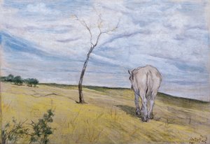White Horse, av Giovanni Fattori (1825-1908) av Giovanni Fattori