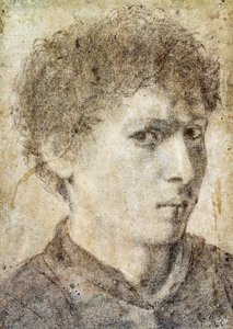 Hode for ung gutt, tegning av Gian Girolamo Savoldo (ca 1480-1548), svart blyant og hvitt kritt, Italia av Giovanni Girolamo Savoldo