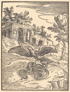 Fugl og slange, 1570. av Giovanni Maria Verdizotti