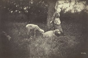 Gjeterinne som lener seg mot et tre, med to sauer, 1870. av Giraudon