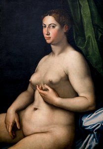 Portrett av en kvinne. 1500-tallet (Olje på lerret) av Girolam Siciolante