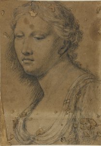 Byste av kvinne av Girolamo da Carpi