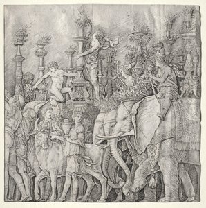 Cæsars triumfer: Elefantene av Giulio Campagnola